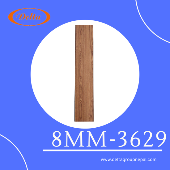 11c7ef2b-ee87-4788-a67f-1ae13e51f718_0000171_8mm-3629_550.png