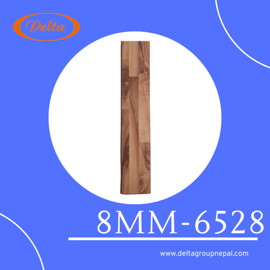 c60e77e9-cf02-46e1-bafb-48c947179743_0000166_8mm-6528_550.png