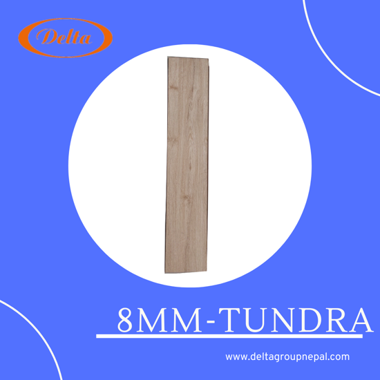 dd120e49-ff9c-4a09-aabd-7ef846e3ead2_0000167_8mm-tundra_550.png